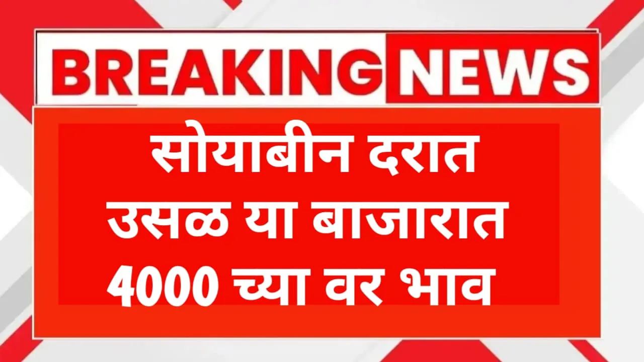 Aajche Soyabean Bhav