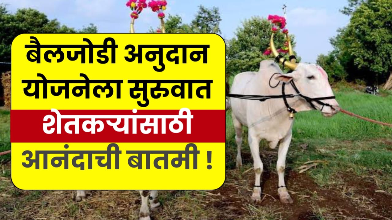 Bail jodi kharedi 2025
