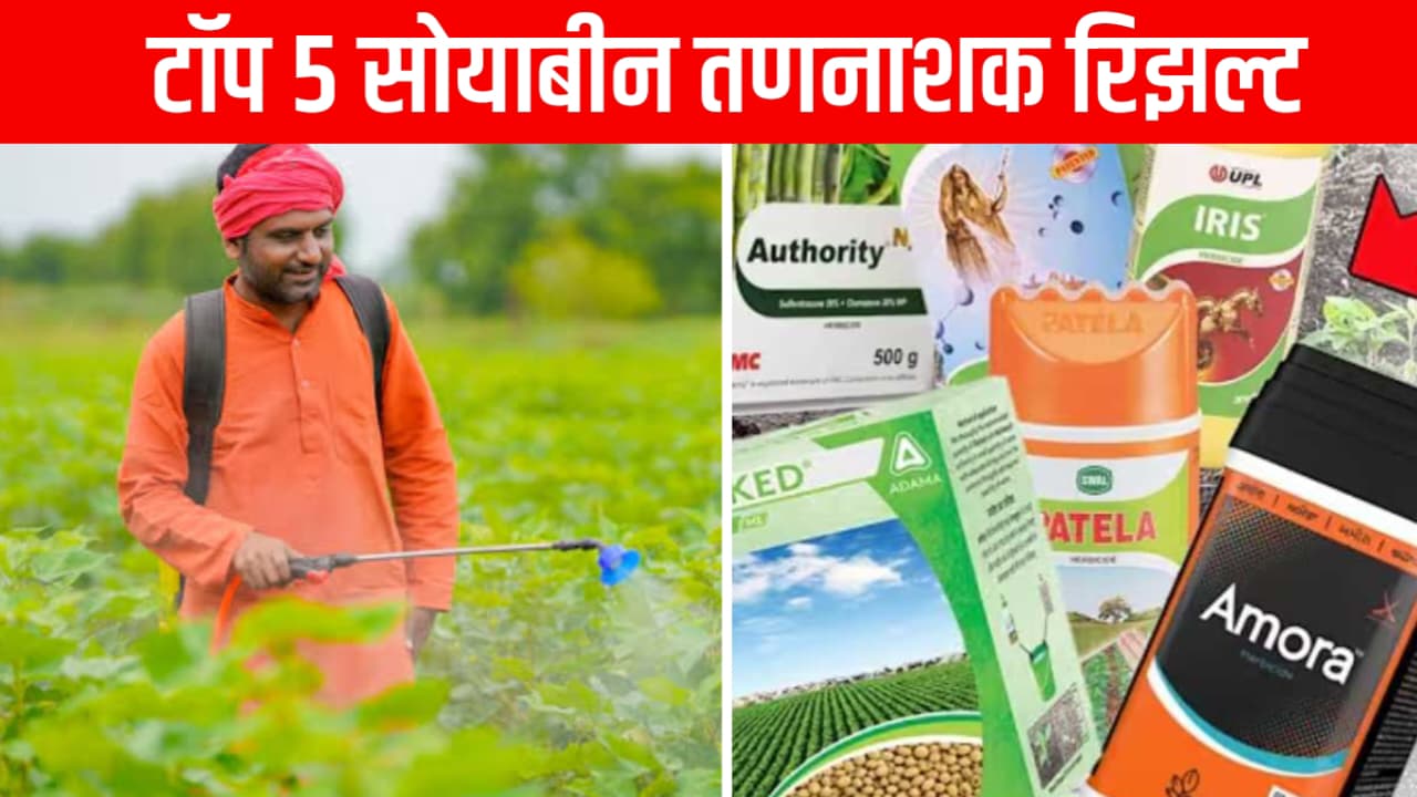 Kapus Tan Nashak Fawarni कापूस पिकातील 100% रिझल्ट देणारे तणनाशक यादी पहा